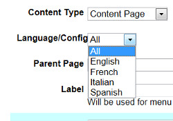 Choose Language/Config for page